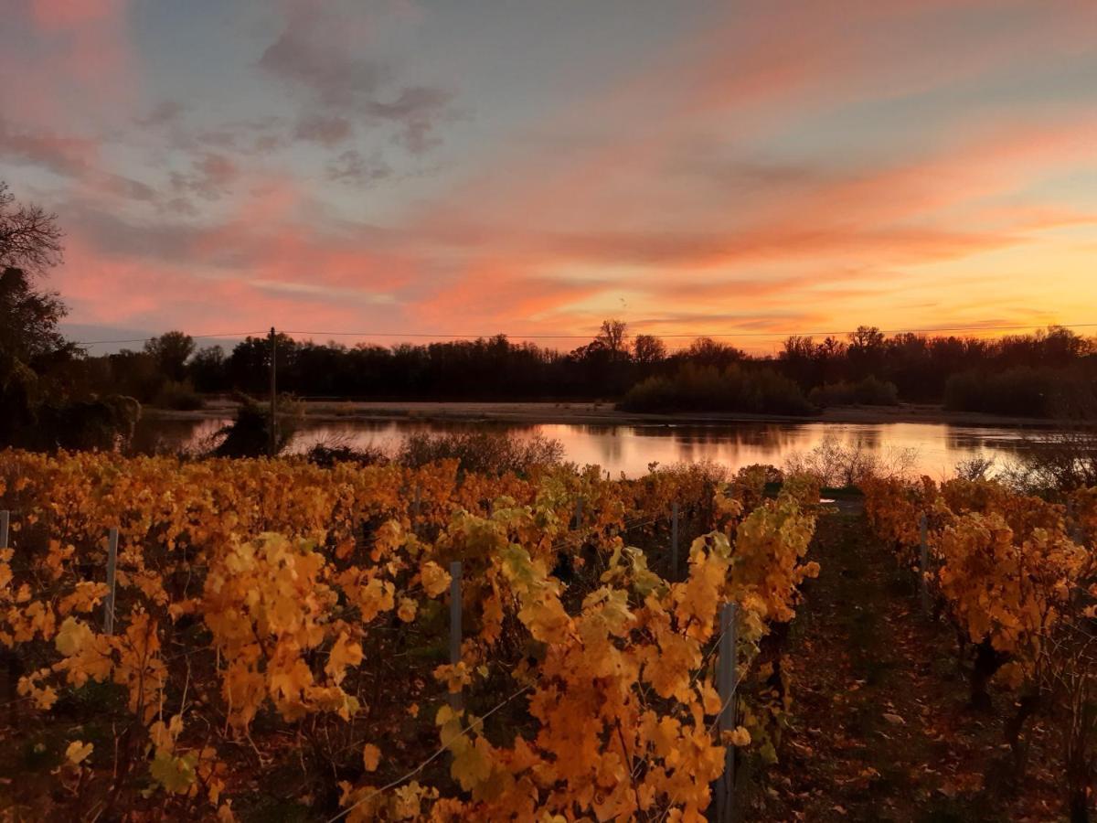 Aux Nids D'Hirondelles Apartment Pouilly-sur-Loire Ngoại thất bức ảnh